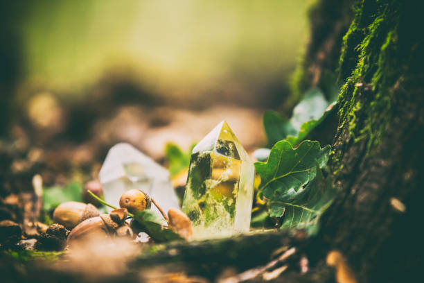 5 Must-Have Crystals for Autumn Transformation