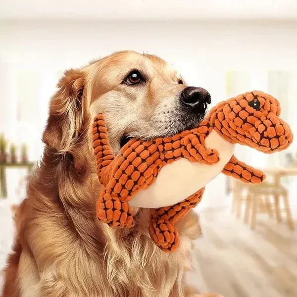 🌹Indestructible Robust Dino--For Aggressive Chewers