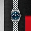 Tudor Black Bay 36