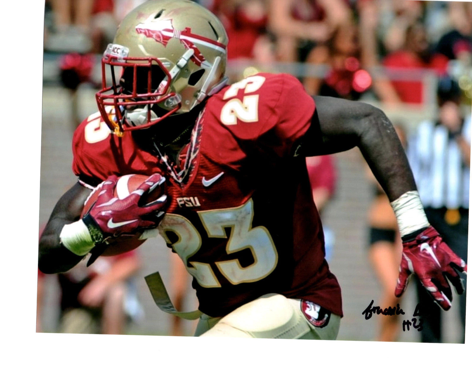 Freddie Stevenson Florida State signed autographed 8x10 football Photo Poster painting d