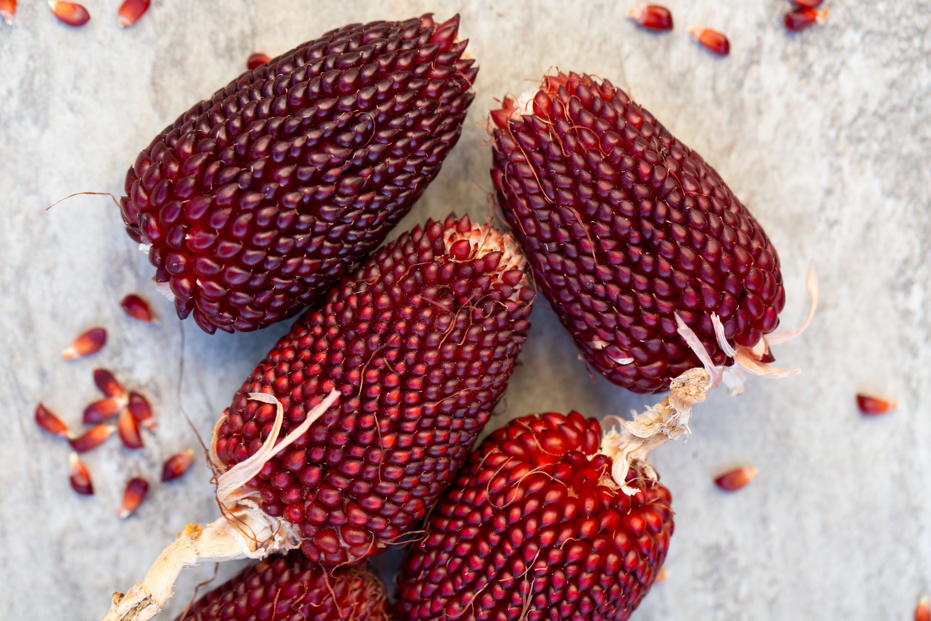 🍓&🌽Strawberry Corn seeds - 2023 popular seeds