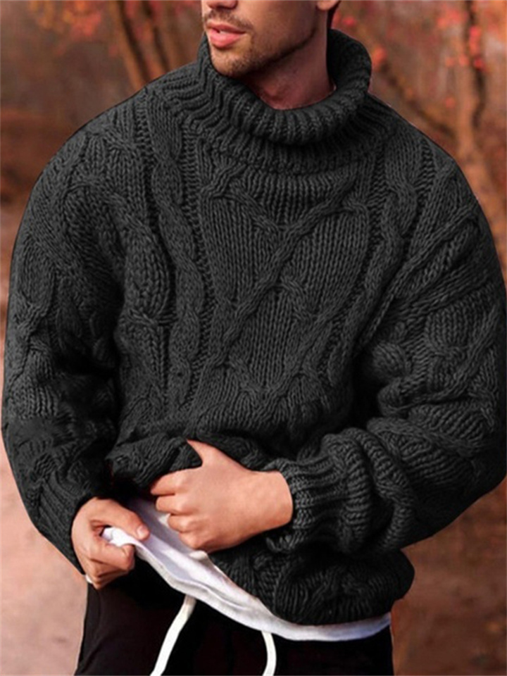 Autumn and Winter Fashion Casual Twisted High Neck Men's Sweater Men's Knitwear