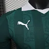 Joyfball 2025/2026 Player Version Plymouth Argyle Home Football Jersey（The player version jersey is a bit tight, please pay attention to the size selection）