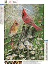 Bird  | Full Round Diamond Painting Kits
