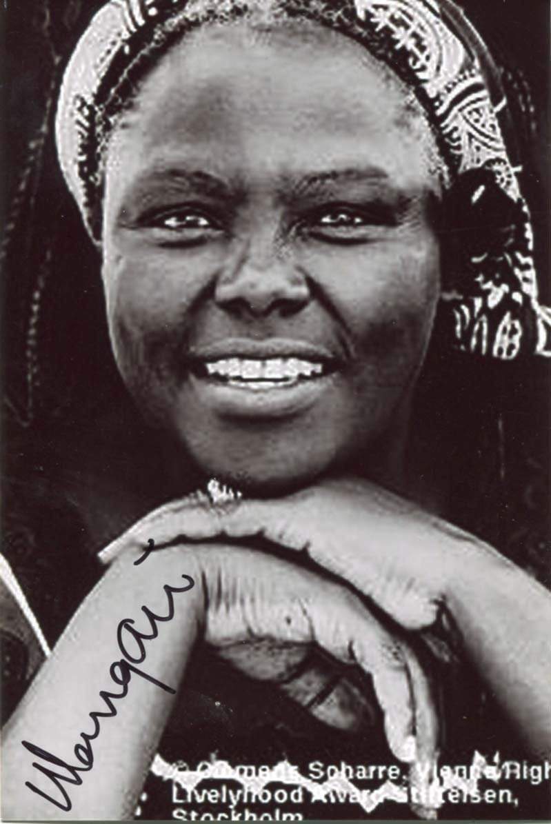 NOBEL PEACE PRIZE Wangari Maathai autograph, In-Person signed Photo Poster painting