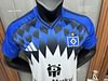 Joyfball 2025/2026 Hamburger SV Home Football Jersey 1:1 Thai Quality