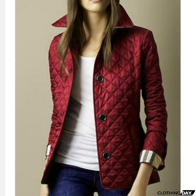 Stylish and Elegant winter Jacket