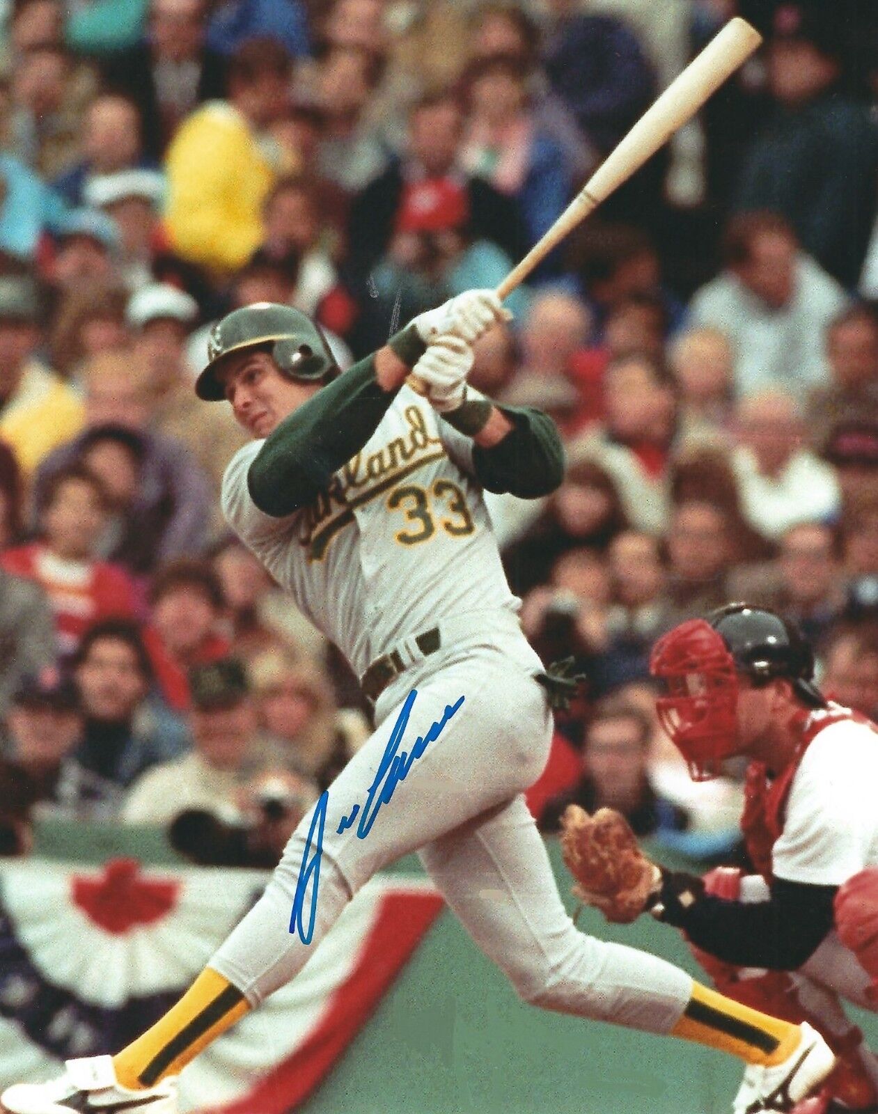 Signed 8x10 JOSE CANSECO Oakland A's Autographed Photo Poster painting w/ Show Ticket