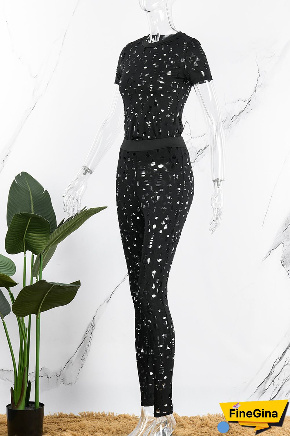 Black Sexy Solid Ripped Hollowed Out O Neck Short Sleeve Two Pieces