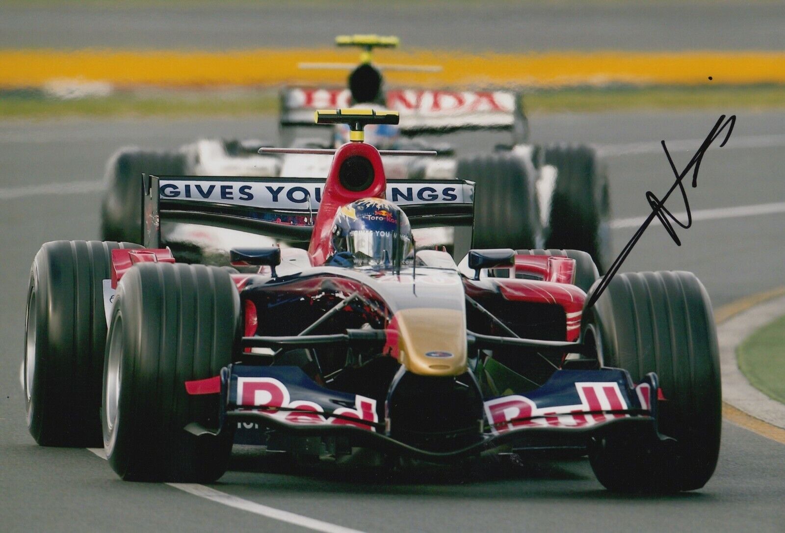 Neel Jani Hand Signed 12x8 Photo Poster painting - Scuderia Toro Rosso - F1 Autograph.