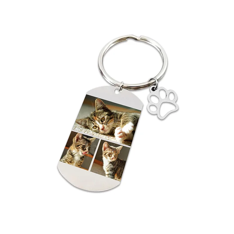 Personalized 3 Photos Keychain with Paw Charm Dog Tag Keychain