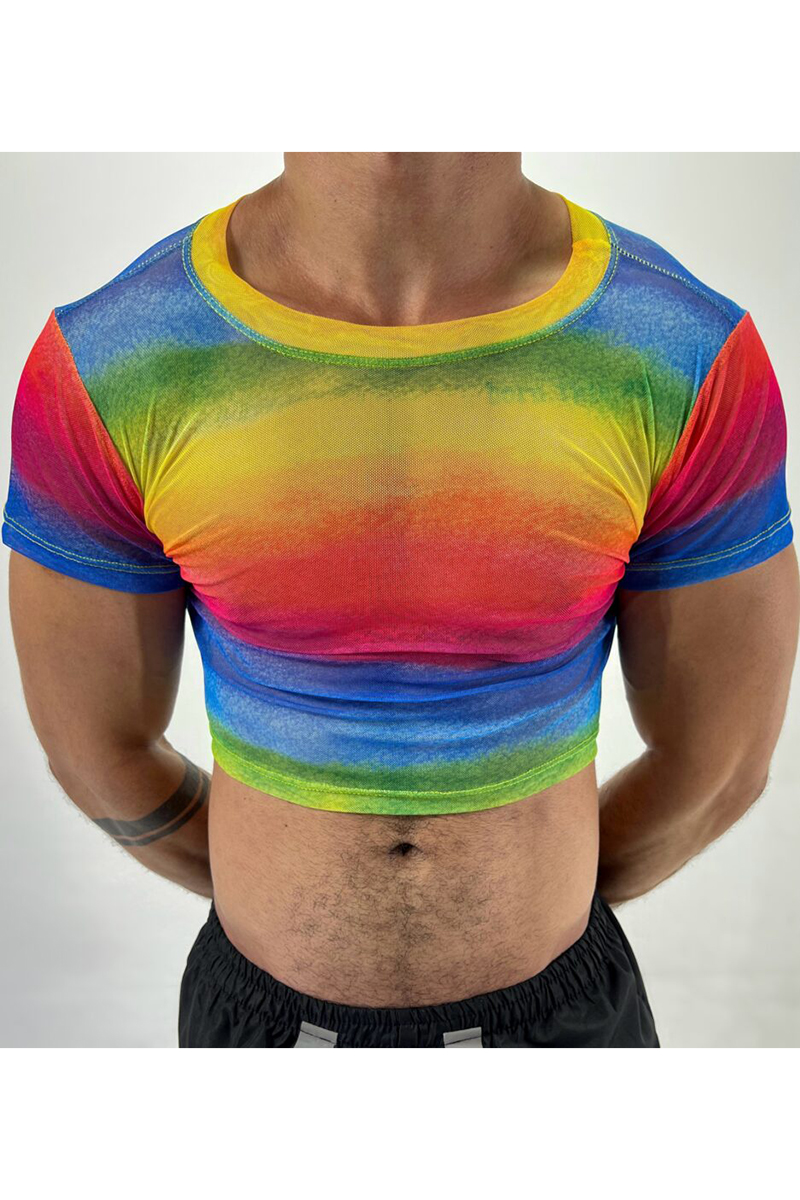 Rainbow Gradient See-Through Mesh Stretchy Bodycon Festival Crop Top