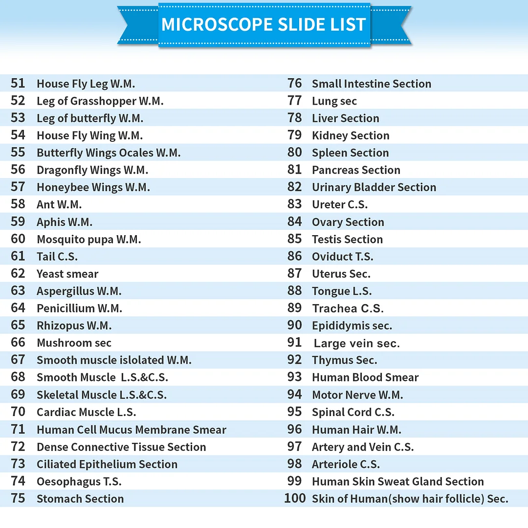 BEBANG 120Pcs Prepared Microscope Slides for Kids, Glass Microscope Slides with Specimens of Insect Plant Animal Bacteria Human Tissue Cell
