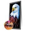 Diamond Painting-DIY Full Round Drill Eagle(40*70CM)