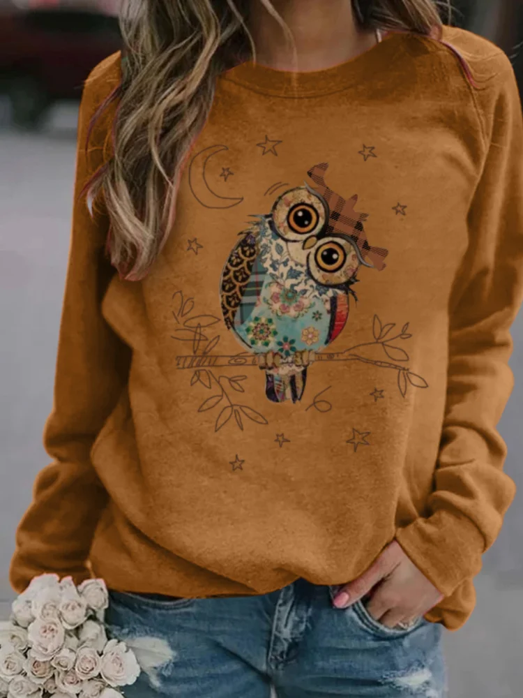 Lovely Patchwork Owl Print Sweatshirt