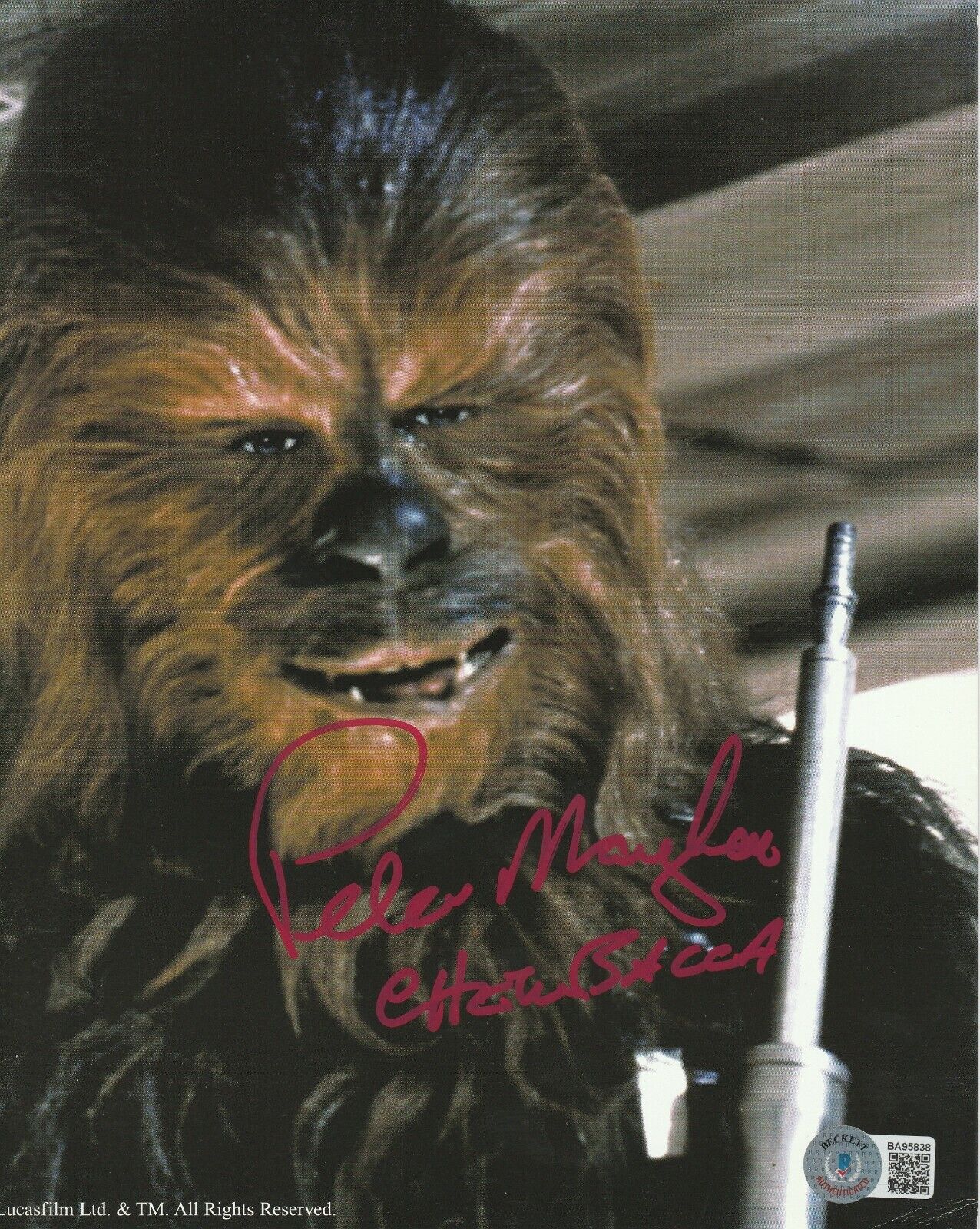 PETER MAYHEW Signed CHEWBACCA Star Wars 8x10 Photo Poster painting with Beckett COA & Inscrip