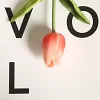 Single Head Mini Tulip PU Texture Artificial Flower 