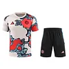 2025/2026 Bayern Munich Pre-Match Training Safflower Shirt+Shorts 1:1 Thai Quality