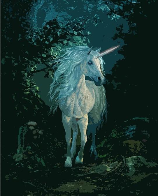 

Unicorn In Dark Forest – Paint By Numbers - 40*50CM, 501 Original