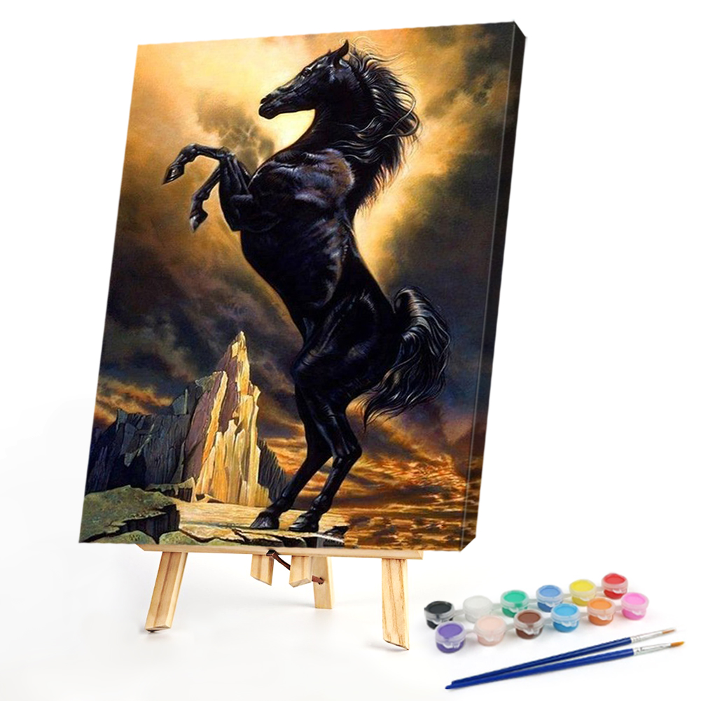 

40*50CM - Paint By Numbers - Black Horse, 501 Original