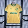 24/25 Palmeiras Soccer Jersey Second Away