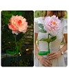 Solar Garden Decorative Light LED Rose Shape Stake Light for Garden Yard Backyard Waterproof