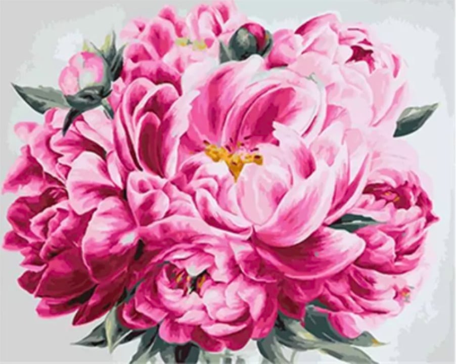 

Peony Collection – Paint By Numbers - 40*50CM, 501 Original