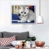 Cute Kitten | Full Round Diamond Painting Kits
