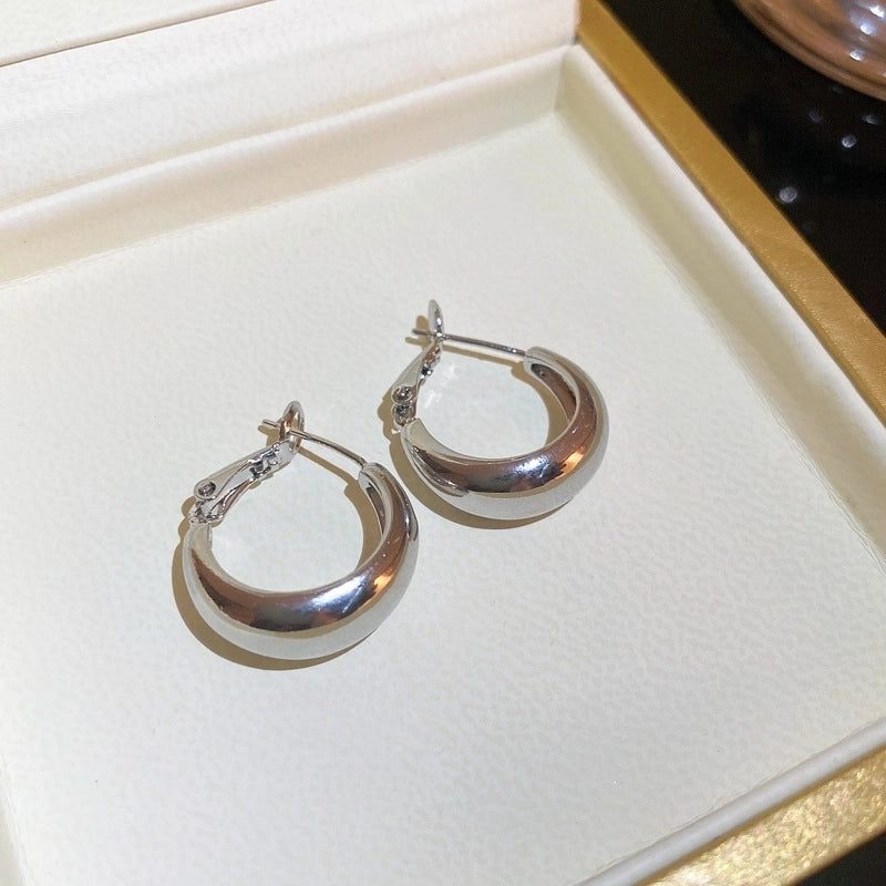 Silver Needle  Exaggerated Lovely Earrings Light Luxury High-grade Niche Earrings Fashion Metal Temperament Earrings For Women