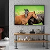 Diamond Painting -DIY Full Square Drill Snuggling Horses