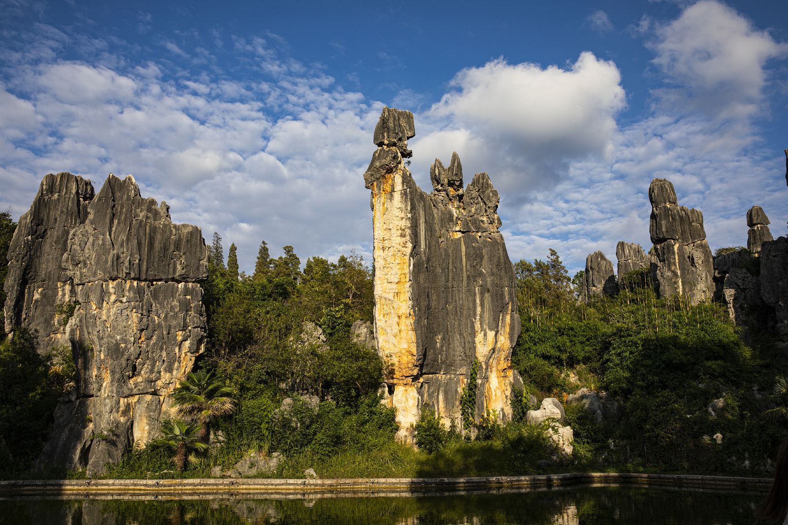 Orient China Travel  4 Days Kunming and Stone Forest Tour (OCT)
