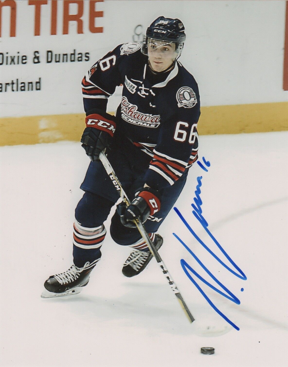 Oshawa Generals Nico Gross Signed Autographed 8x10 NHL Photo Poster painting COA #1