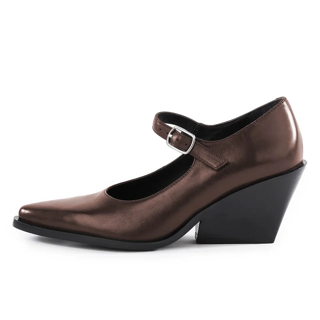 Brown Pointed Toe Buckle Strap Chunky Heel Mary Jane Pumps