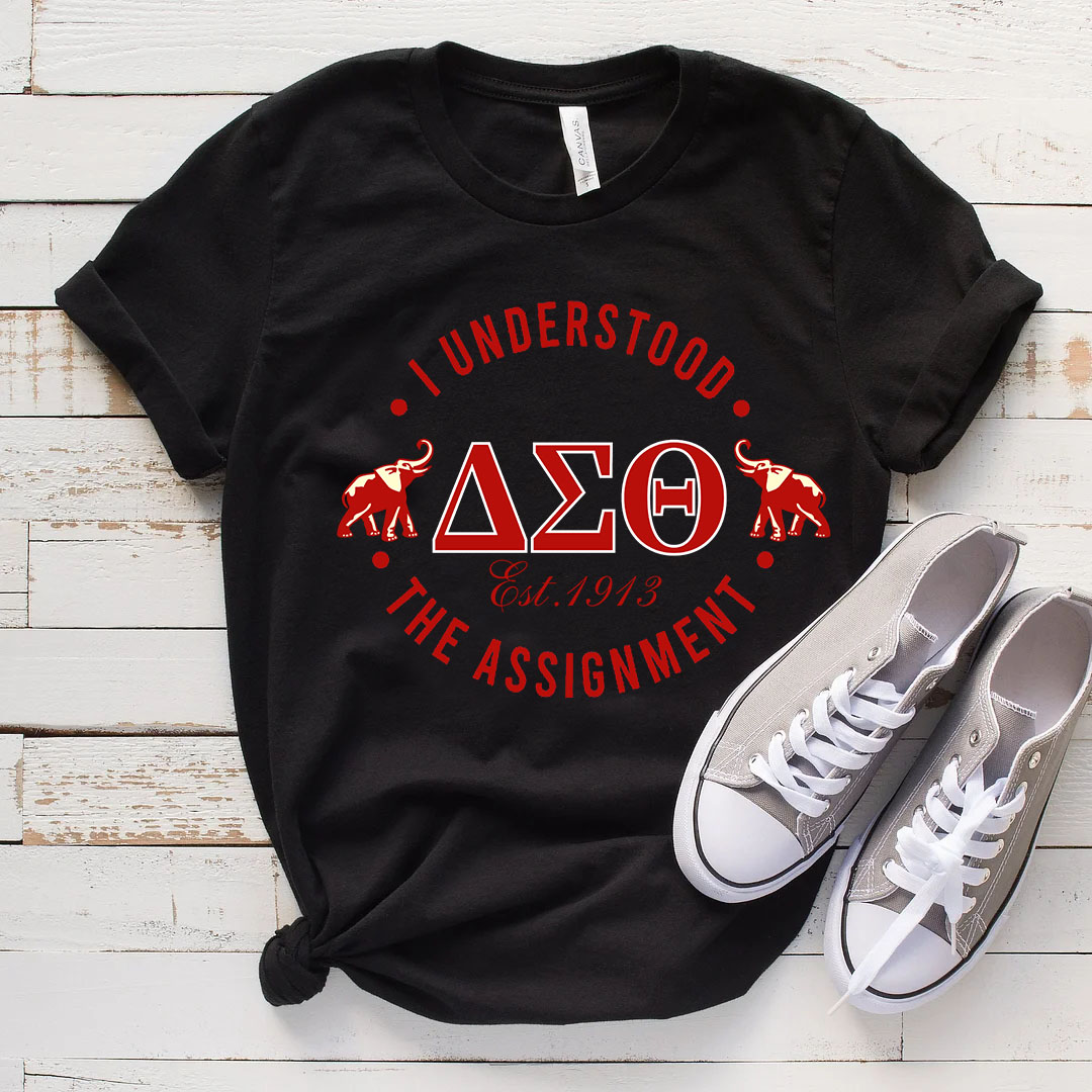 ΔΣΘ Fashion Hoodie and Sweatshirt