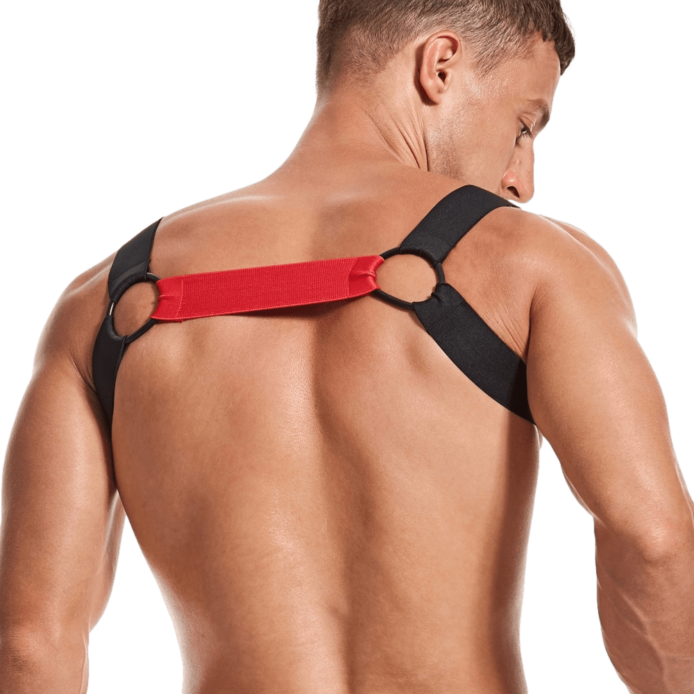 Dominator Harness