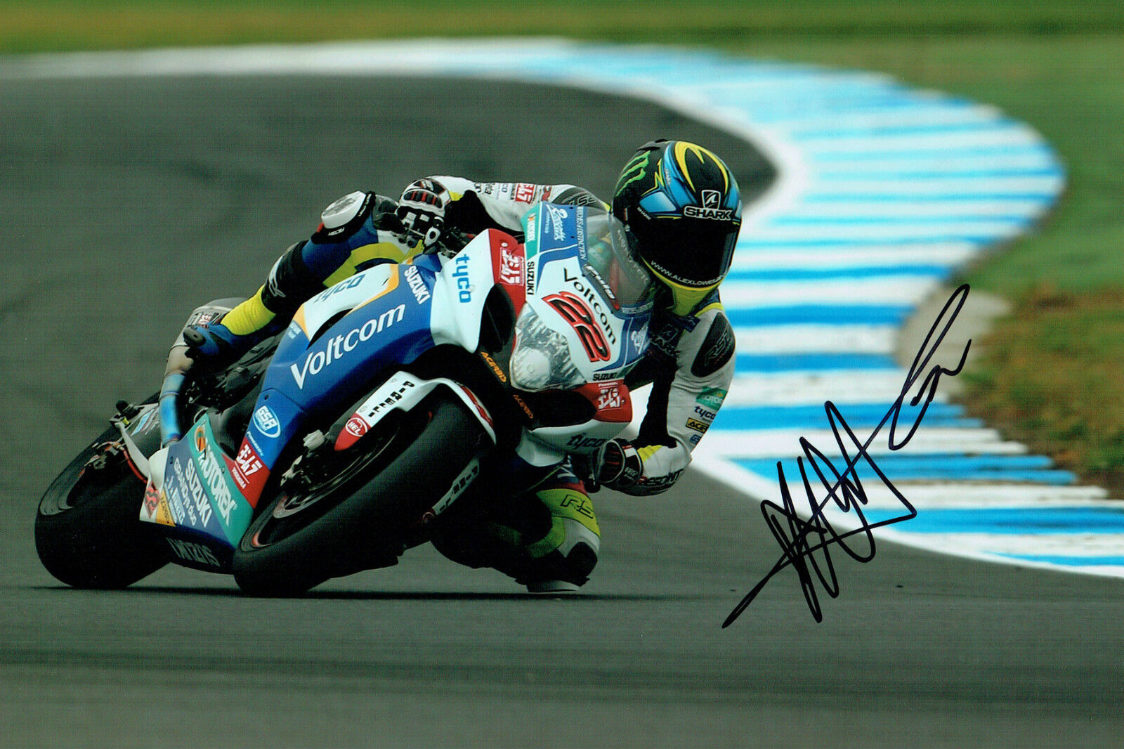 Alex LOWES SIGNED Donnington WSBK Autograph Suzuki 12x8 Photo Poster painting AFTAL COA