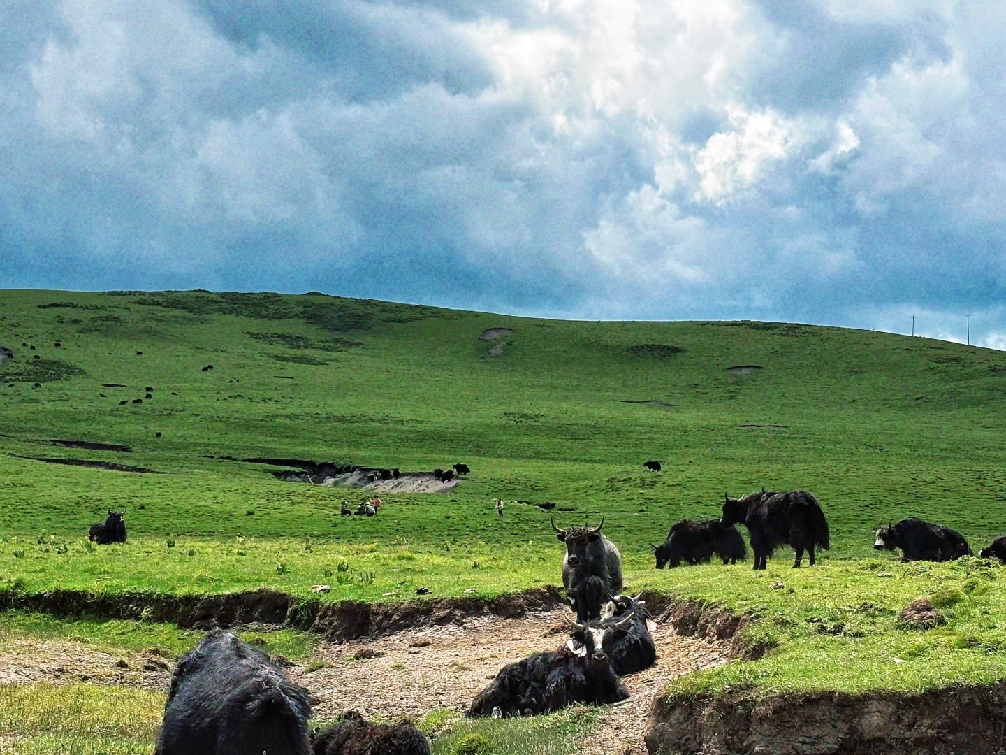 [Flash sale] 5 Days 4 Nights Chengdu City & Jiuzhaigou & Huanglong/Munigou Free Tour &ndash; Private Trip