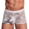 Men's Lace Transparent UnderwearS Sexy Elephant Trunk Boxer Briefs