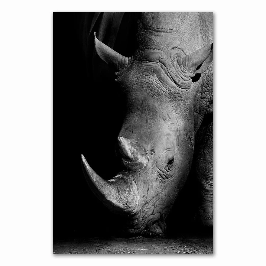 Canvas Painting Animal Wall Art Lion Elephant Deer Zebra Posters and Prints Wall Pictures for Living Room Decoration Home Decor