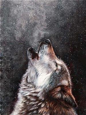 Animal Wolf Paint By Numbers Kits UK For Adult Y5581