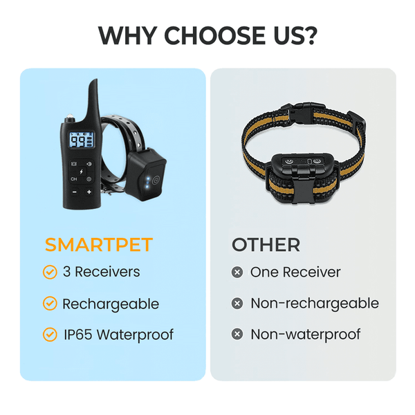 2600ft Remote Dog Training Collar