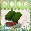 Green Grass Plants Crochet Kit for Beginners, Hanging Potted Plants Crochet Starter Kit with Step-by-Step Tutorials Complete Crochet Kit for Beginners Decoration