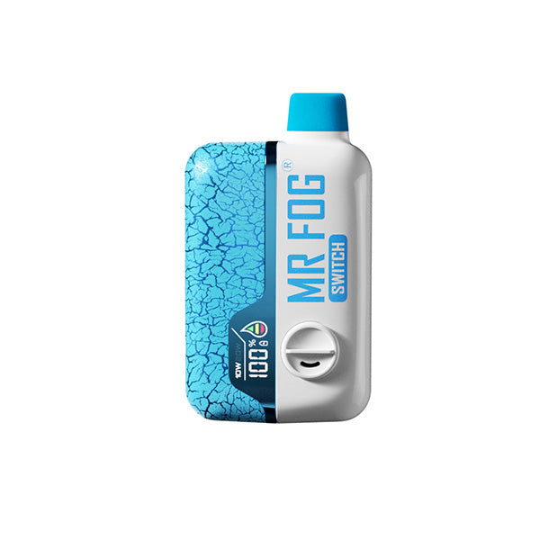 MR FOG SWITCH 15000 PUFFS Blueberry Myst
