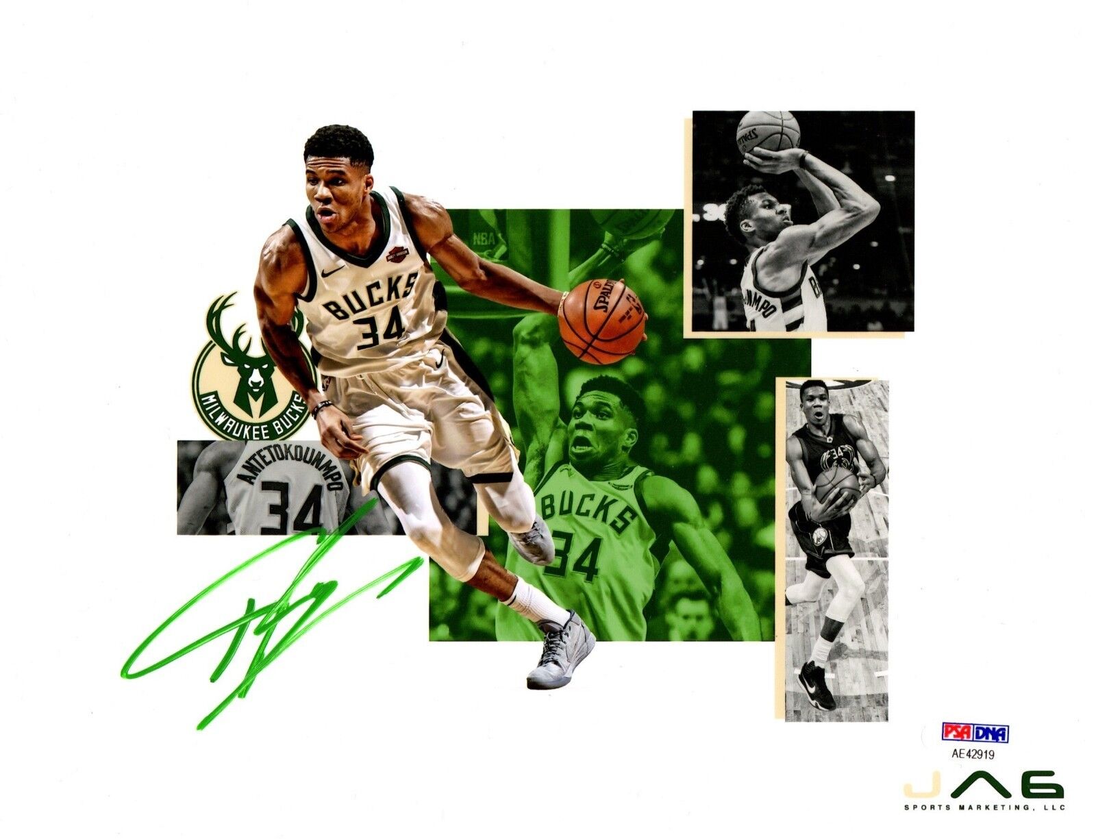 Giannis Antetokounmpo autographed signed 20x24 canvas NBA Milwaukee Bucks PSA