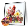Diamond Painting-DIY Round Part AB Drill Cardinal(45*45CM)