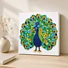 DIY Pre-Framed Peacock Button Art Canvas Kit