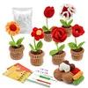 Flower Pot Crochet Starter Kits with Step-by-Step Video Tutorials, Hanging Potted Plants Knitting Starter Pack for Beginners Decoration