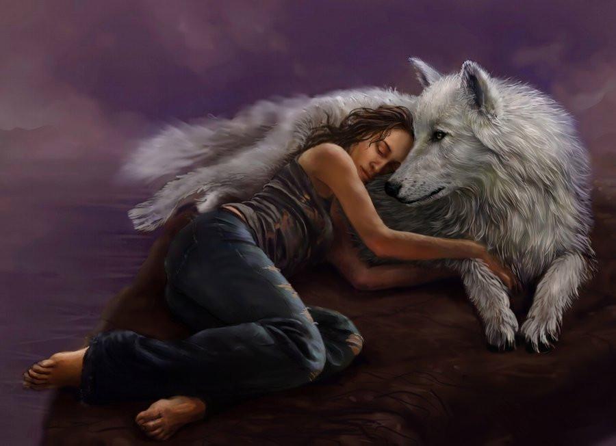 

Wolf Girl – Paint By Numbers - 40*50CM, 501 Original