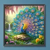 Peacock -Special Shaped Diamond Painting
