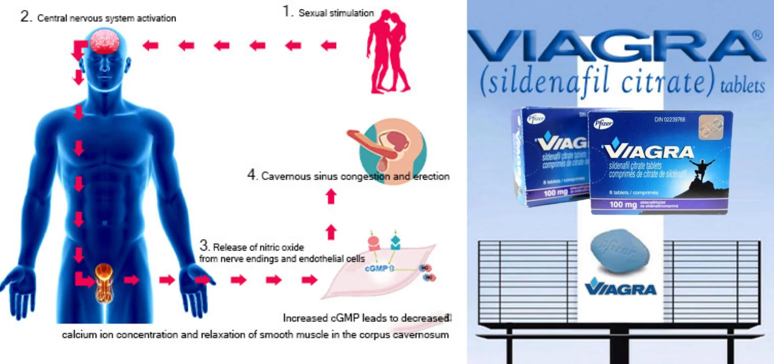 COD egyoldalas rendszerű weboldalkészítés, elérhetőség QQ: 494906791/WeChat: Cod_web